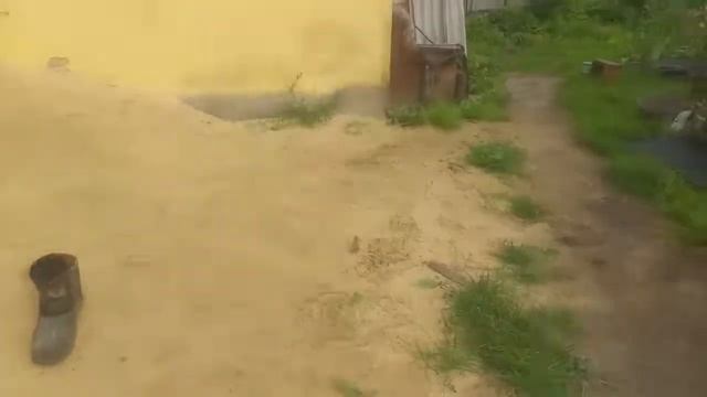 В доме вор ? )) Тасечка в своем репертуаре ! смотреть онлайн