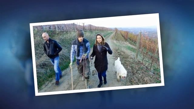 Treasure hunt: Ginger Zee searches for rare, expensive Italian white truffles | 24H News смотреть онлайн