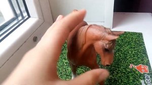 Моя коллекция лошадей шляйх и коллекта