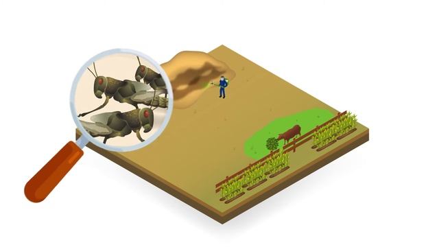 Green Muscle | A safer way to control locusts смотреть онлайн