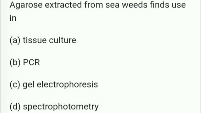 NEET BIOLOGY MCQ (BIOTECHNOLOGY)