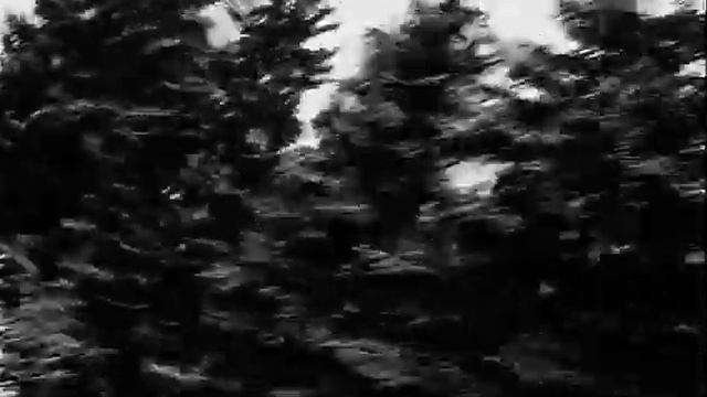 О сущем смотреть онлайн