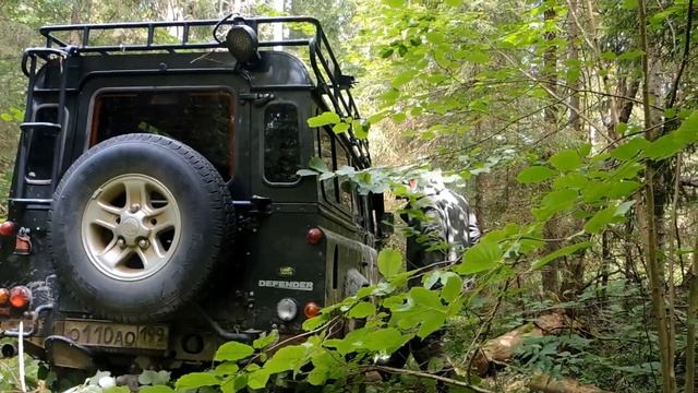 Съездили за грибочками смотреть онлайн