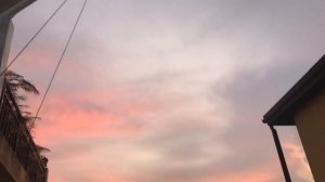 Леонид Борткевич.  Почему не ведаю