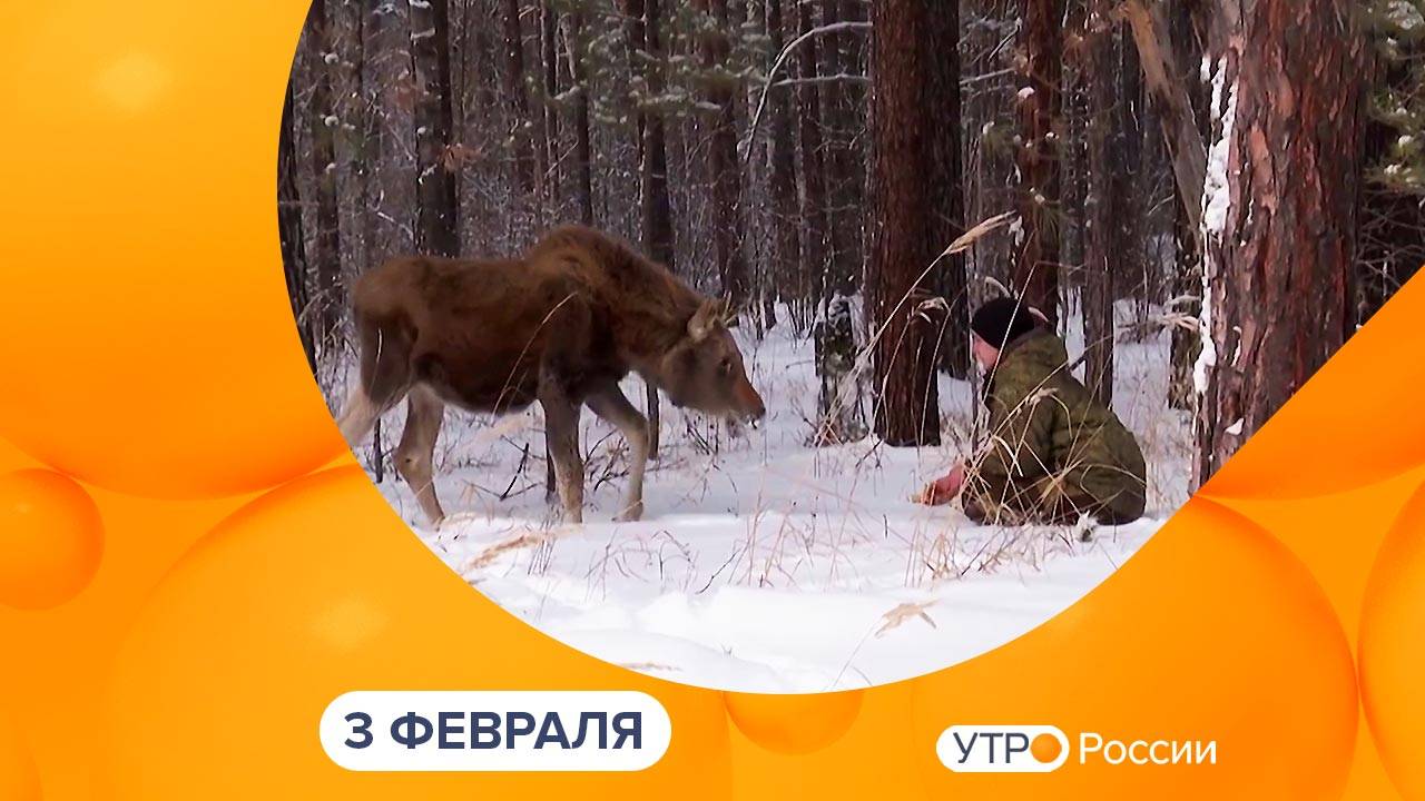 Утро России. Калуга (03.02.2025)