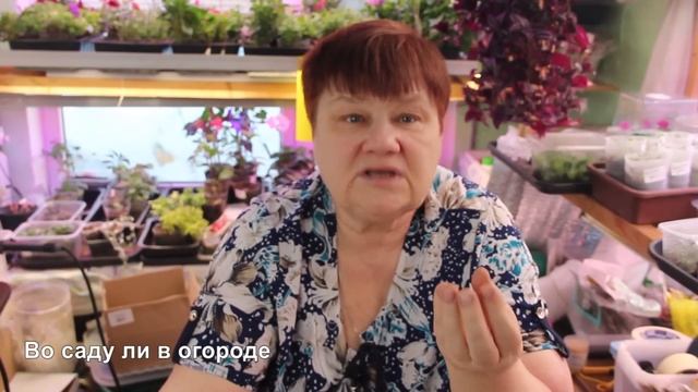 ЖАЛЕЮ, что НЕ ЗНАЛА про ЭТОТ СПОСОБ РАНЬШЕ! ДЖУТОВЫЕ ТАБЛЕТКИ для РАССАДЫ СВОИМИ РУКАМИ смотреть онлайн