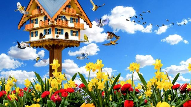 Стихи для Души -  Кружевное весеннее Чудо...