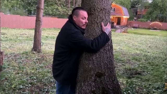 @симонов или обнимания с деревом