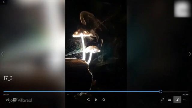 15 вересня ЯПС УРОК 17 (частина 1) смотреть онлайн