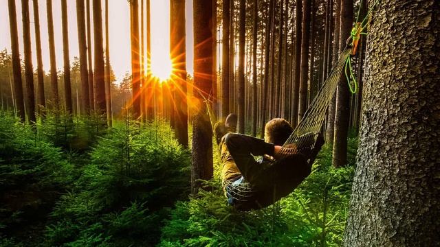 Мухоморные мистерии. Тайные знания доступны всем! История знакомства