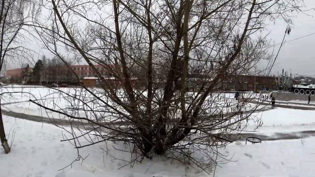 С наступающим 2021 годом!!! С годом БЫКА