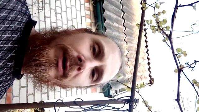 Разоблачение чудес или пища с небес смотреть онлайн