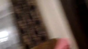 Сыроежки посмотреть