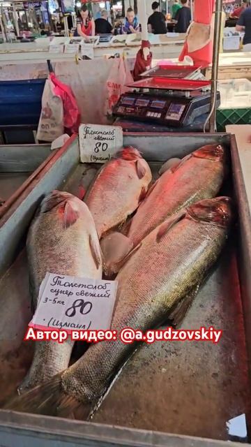 Цены на Свежую рыбку на Одесском Привозе сегодня 18.07.2024 #одесса #привоз #привозодесса #shorts