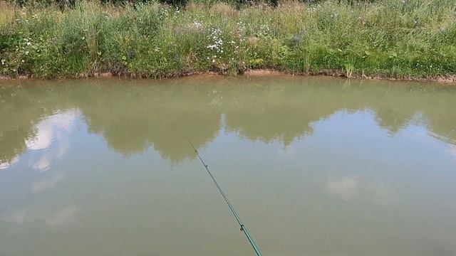 Карп на маленькой сажелке смотреть онлайн