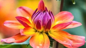 Чудесно и Красиво для души! Неземная Музыка Сергея Чекалина уносит вдаль к мечта