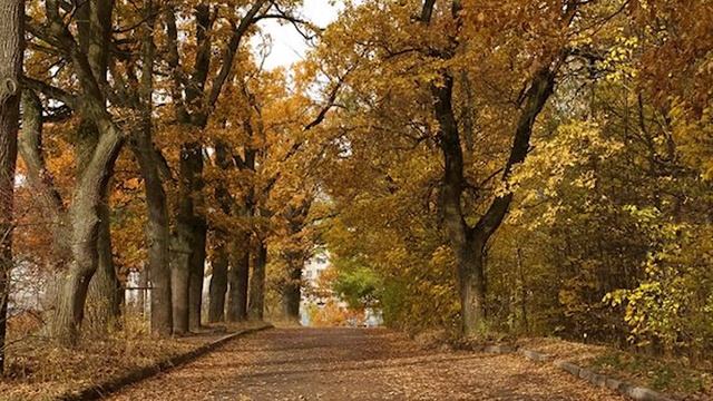 Облака облака и бессолнечна тьма... Стихи Николая Якимчука. Читает автор