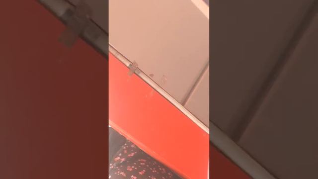 Харьков .Денежная безнадёга .Хожу прошу помощи ! 23.04.2024 #жизньвукраине #харьковчане #харьков