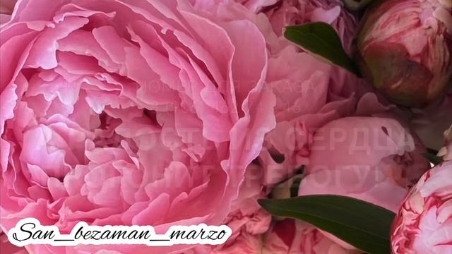 Приятные слова ❤️🌺 смотреть онлайн