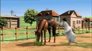 Бернард- Horse Training Конное обучение)