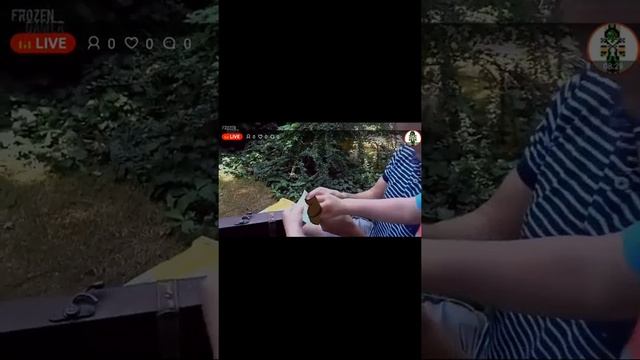 prosto stream ТЕСТ НА ПСИХИКУ МИСТЕР МАКС смотреть онлайн