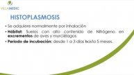 Villa med dermatologia - DERMATOMICOSIS