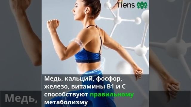 Чесночное масло Тяньши