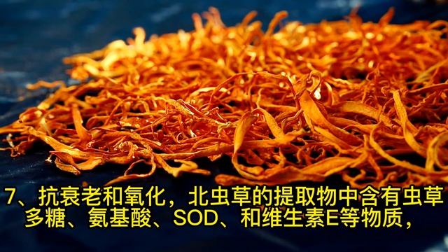 虫草花系列三 Dried Chinese Chong Cao,Herb Cordyceps Militaris,Cordyceps Flower смотреть онлайн