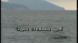 ОДНА КАЛИНА за вiкном, украинская песня КАРАОКЕ, ТЕКСТ