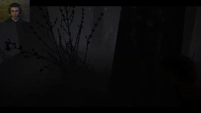 СИМУЛЯТОР ГРИБНИКА В СТРАШНОМ ЛЕСУ ► The House In The Woods