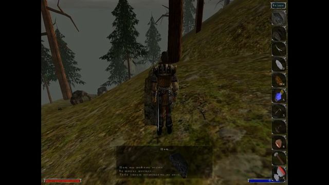 мод на #Gothic Диккурик #Diccuric 12 серия по грибы по ягоды, нашли таблички и книгу огненная ящерк смотреть онлайн