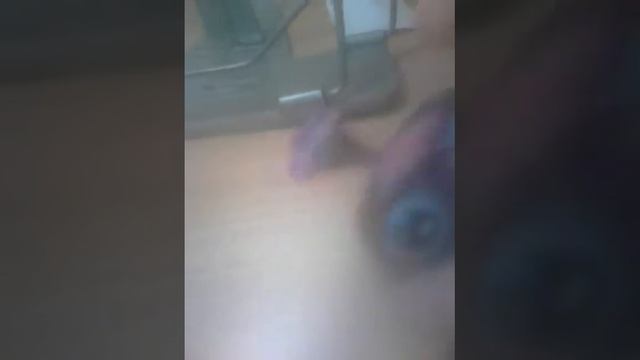 😏😝сюрприз для канала Мерли кет Джей смотреть онлайн