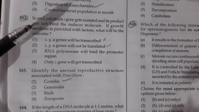 Biology bytes Neet 2022 E.coli strain i gene gets mutated If growth medium is provided with lactose