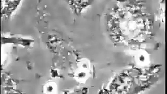 Candida producing germ tubes and killing macrophages from within. смотреть онлайн