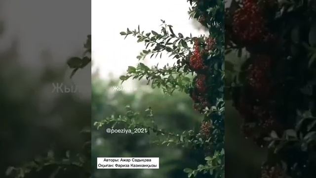 Поэзия қазақша Жабырқама деймісің, жабырқама?                    Елік жыр Авторы: Ажар Садықова