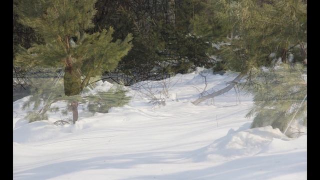 Времена года смотреть онлайн
