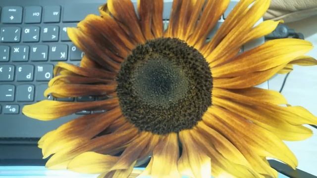 Психопаты в литературе и современные герои. Психолог Марина Линдхолм
