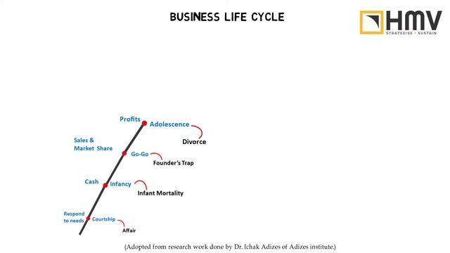 Business Life Cycle By HMV Consulting смотреть онлайн
