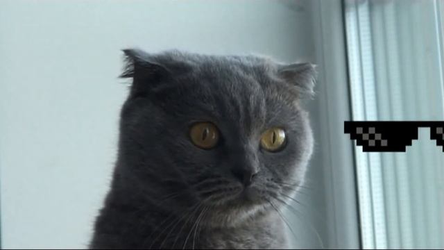 Реклама"Lyuskas"/пародия смотреть онлайн