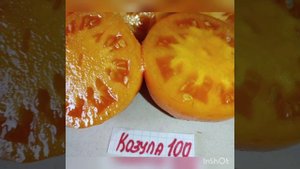 Обзор томатов Отборное печенье , Козула 100 и Сахарная молния .