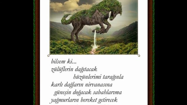 bilsem ki...(şiir:Demet Yalnız) смотреть онлайн