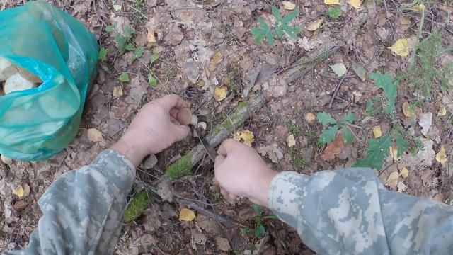 за Белыми 2 сентября смотреть онлайн