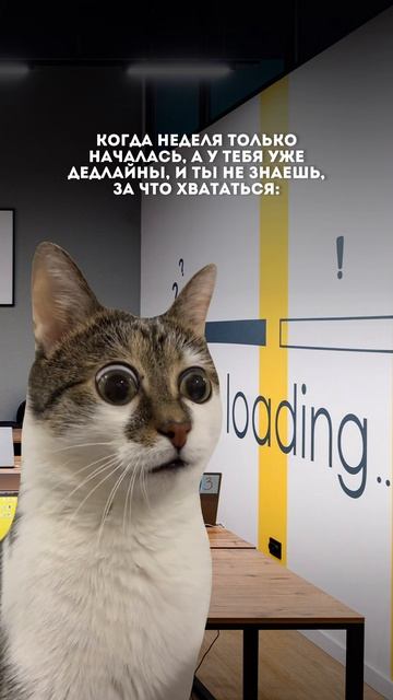 Первая международная кибершкола для детей #ITшкола #детскоеобразование #lTобучение