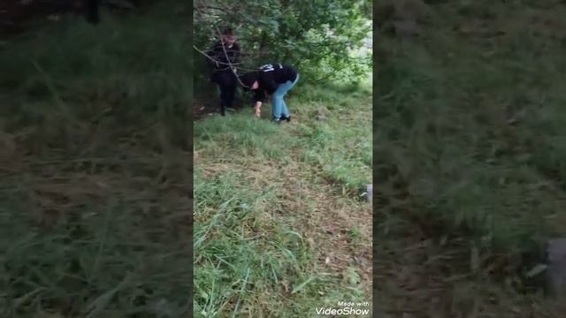 грибный день Бишкек смотреть онлайн