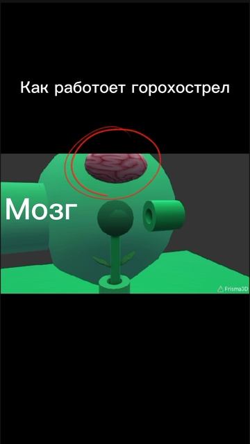 Как работоет горохострел? смотреть онлайн
