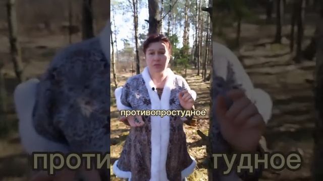 Кашель, бронхит и пневмония боятся этого средства как огня! смотреть онлайн