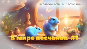 В мире песчанок #1