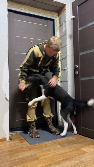 Сколько звуков издаёт собака 🐕 #питомцы #собака #щенок #puppy #dog смотреть онлайн