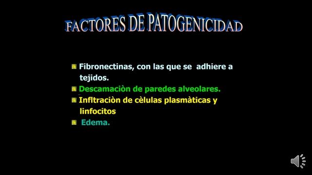 13  Pneumocystis смотреть онлайн