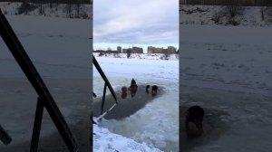#морж #моржевание #моржи #моржимосквы #москва #россия #беларусь #силадуха